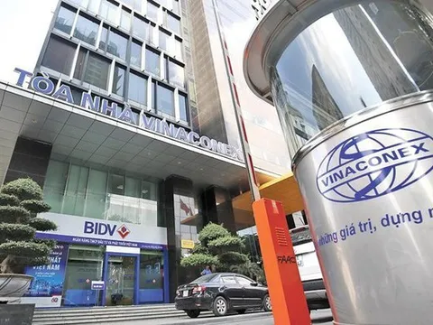 Vinaconex thắng đậm năm 2025 nhờ cú hích thoái vốn nghìn tỷ