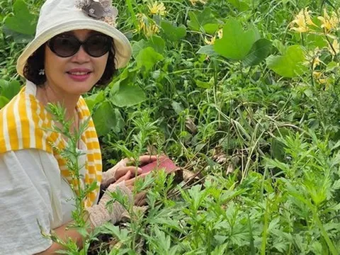 Ở tuổi 50, tôi đã không quá khủng hoảng khi nghĩ đến nghỉ hưu: Tất cả bắt đầu từ 500.000 đồng/tháng cách đây 10 năm