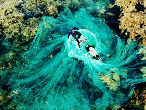 Việt Nam có "mỏ vàng dưới nước", mang về gần 900 triệu USD trong tháng 1: Trung Quốc, Nhật Bản ồ ạt mua