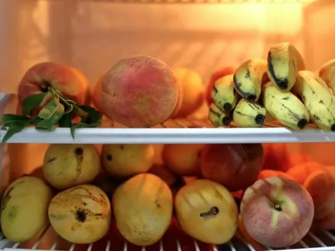90% gia đình đang bảo quản trái cây sai cách, hỏng nhanh mà không hề hay biết
