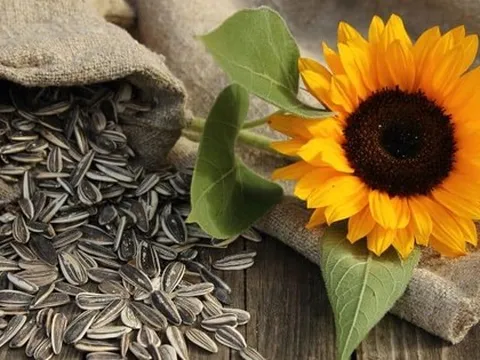 Hướng dương, đậu phộng chưa chắc tốt bằng 3 loại rau này: Tóc đen hơn, người mát, ăn là mê