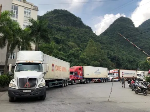 Cục Hải quan hoả tốc yêu cầu "thông quan nhanh" thực phẩm dịp sát Tết Nguyên đán