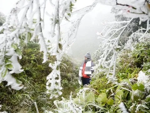 Dự báo thời tiết 5/2: Miền Bắc đón đợt không khí lạnh cực mạnh, dự báo khi nào rét đậm đạt đỉnh?