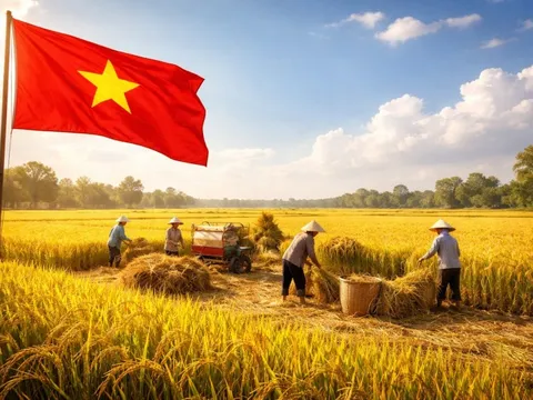 3 lần được vinh danh số 1 thế giới: "Vàng trắng" của Việt Nam khiến loạt quốc gia mê mẩn