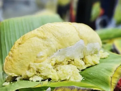 Vợ chồng trẻ bán món xôi lạ, khách chen chân bốc số chờ mua