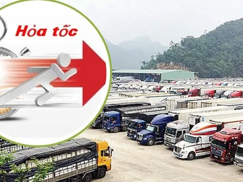 Cục Hải quan chỉ đạo hỏa tốc sau khi tạm dừng Nghị định 46: Kích hoạt trực 24/7, ưu tiên thông quan hàng thực phẩm nhập khẩu