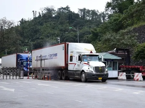 Tạm dừng áp dụng Nghị định 46 về an toàn thực phẩm đến hết ngày 15/4/2026