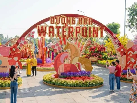 Hội hoa xuân Waterpoint 2026: Điểm du xuân “trên bến dưới thuyền” đặc sắc