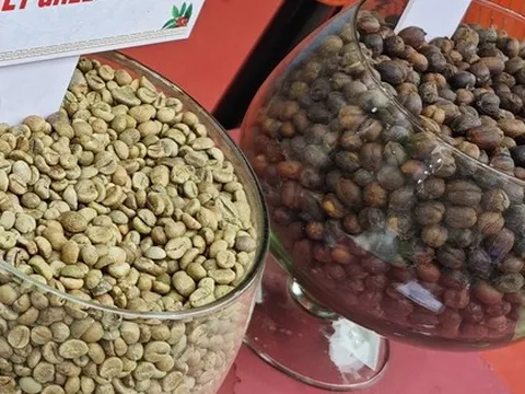 Giá cà phê hôm nay 7-2: Chốt tuần giảm mạnh