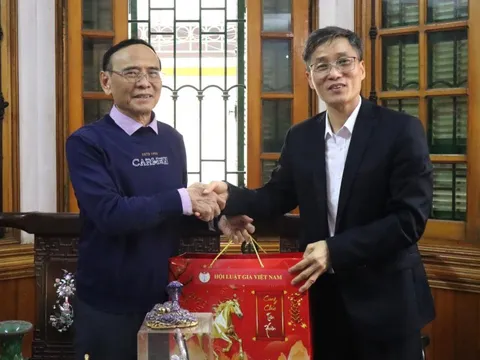 Chủ tịch Hội Luật gia Việt Nam thăm, chúc Tết nguyên lãnh đạo hội