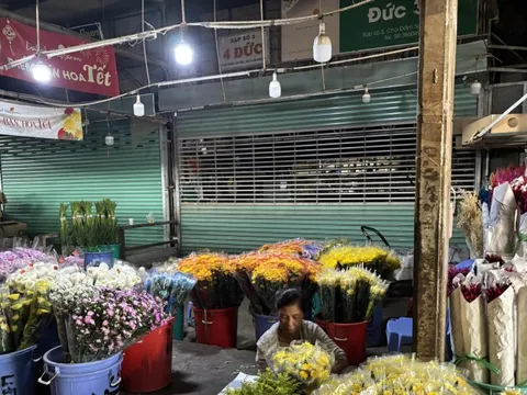 Hình ảnh khác lạ tại chợ hoa sỉ lớn nhất TPHCM trước Tết