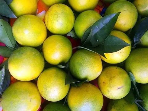 Đặt 2 loại quả này trong phòng ngủ và bạn sẽ nhận thấy điều kỳ diệu xảy ra với cơ thể