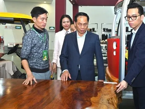 Ngắm phản gỗ quý Cẩm Lai ngàn năm tuổi nặng 6 tấn, giá trị hàng tỉ đồng