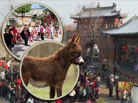 Ngôi làng cổ 600 năm tuổi tại Trung Quốc đổi đời nhờ đóng phim: Cả người và vật nuôi đều thành diễn viên