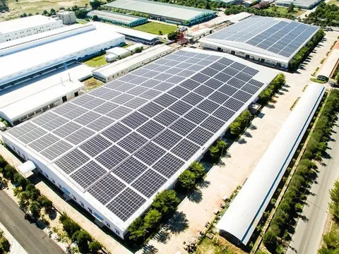 Điều gì đang “níu chân” Bamboo Capital và Tracodi khi liên tiếp hoãn BCTC kiểm toán?