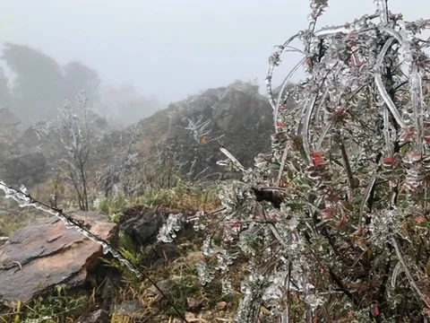 Không khí lạnh tăng cường dồn dập, miền Bắc rét sâu và sương mù dày đặc