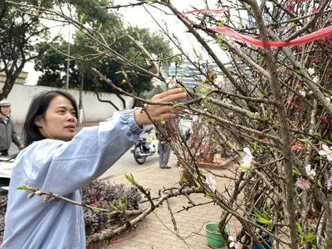 Dự báo chi tiết thời tiết cả nước dịp Tết Nguyên đán Bính Ngọ 2026