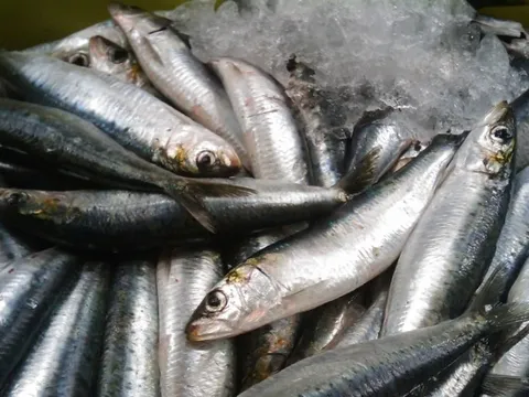 Đột quỵ rất “sợ” loại cá này, người Việt đang ăn rất nhiều mà chưa hề nhận ra