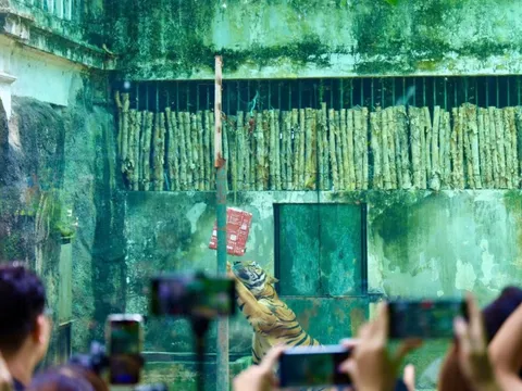 Du xuân cùng muôn thú ở Thảo Cầm Viên