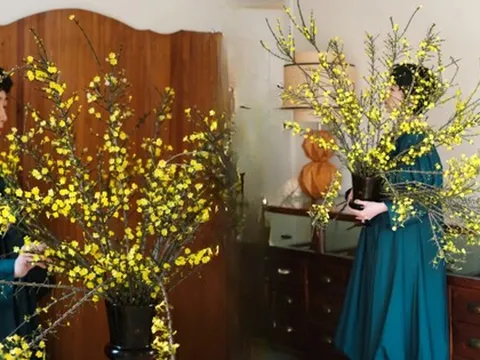 Mùa xuân nằm trọn trong một bình Nghênh Xuân: Sắc vàng rực rỡ, cành rủ mềm mại như suối tóc, chưng Tết vừa sang vừa hút lộc