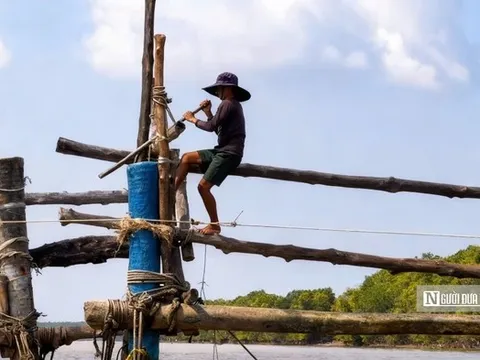 Theo chân ngư dân Đất Mũi mưu sinh bằng nghề đóng đáy