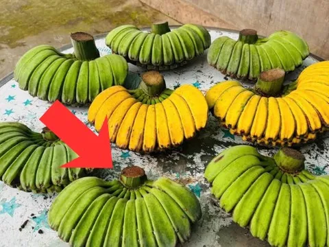 Không phải chuối ngự, chuối tiêu xanh, đây mới là nải chuối đắt nhất sạp: Lý do vì sao?