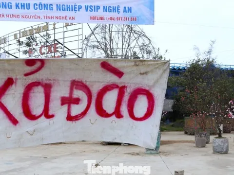 Quất sale đồng giá, đào xả kịch sàn vẫn vắng khách ngày 27 Tết