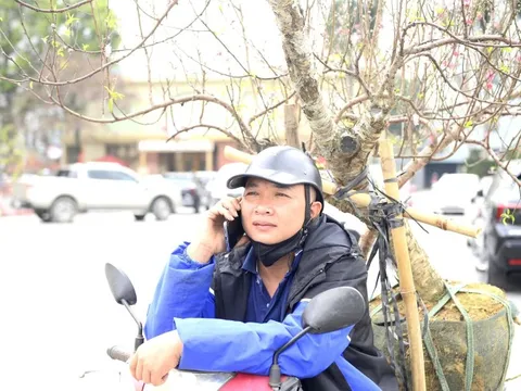 Chở "mùa xuân" trên yên xe về phố, kiếm chục triệu mỗi ngày giáp Tết