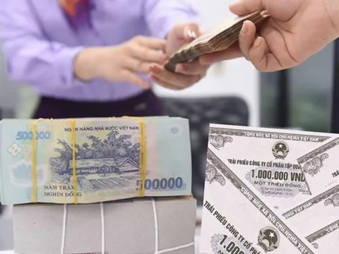 Thanh tra Chính phủ phát hiện một số vi phạm trong phát hành trái phiếu doanh nghiệp riêng lẻ