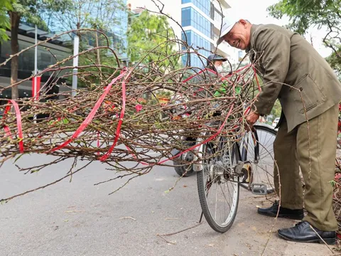 Dự báo thời tiết 29 Tết: Miền Bắc nắng đến 28°C trước khi đón không khí lạnh