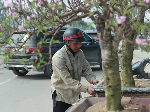 Lao động kiếm tiền triệu bằng nghề “chở Tết về nhà”