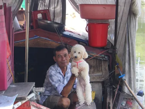 Những mùa xuân "neo" trên dòng Kênh Tẻ