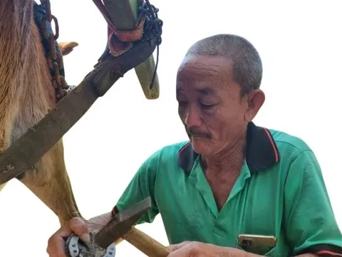 Chuyện ít biết về người làm nail cho ngựa cù lao