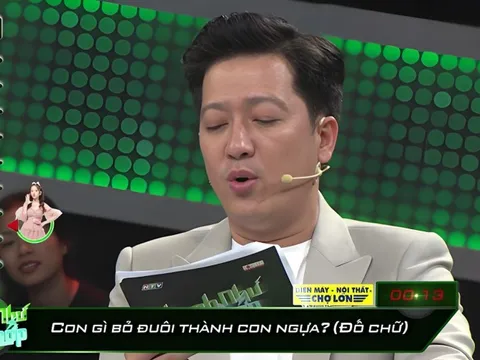 Con gì bỏ đuôi thành con ngựa? 90% người đã trả lời sai!