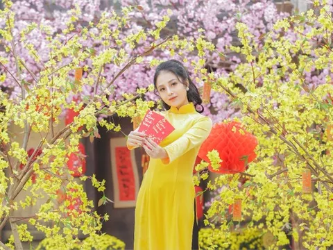 Dự báo thời tiết 19/2 (mồng 3 Tết Bính Ngọ): Miền Bắc sắp đón thêm đợt không khí lạnh tăng cường mới, trời mưa rét