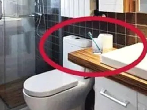 Nhà vệ sinh có 4 thứ không nên đặt: Nếu đang để trong đó, dọn ngay đi kẻo hại sức khỏe cả gia đình