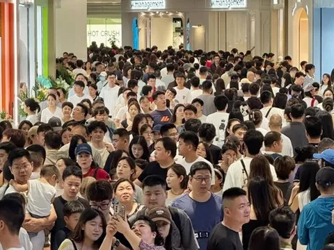 Triệu người trở lại làm sau Tết có cơ hội “đổi đời” nếu thuộc 4 con giáp này