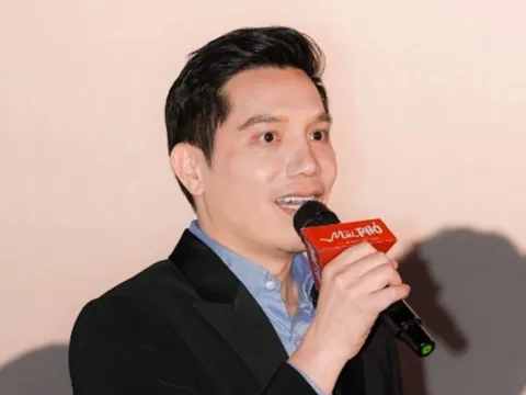 Shark Minh bị tấn công