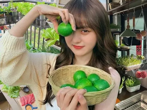 Từ chê “trồng rau là phong trào” đến nghiện thu hoạch: Lần đầu tôi hiểu vì sao người thành phố mê làm nông tại nhà