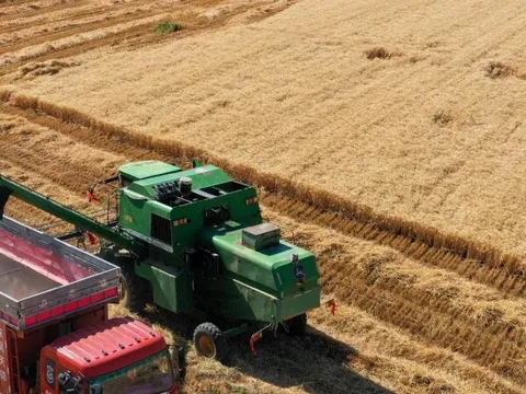 "Mỏ vàng" giữa lòng sa mạc: Quốc gia cạnh Việt Nam biến "biển tử thần" thành kho báu cho hơn 1,4 tỷ người