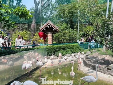 Thảo Cầm Viên Sài Gòn chật kín người du xuân