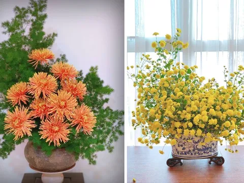 Ngắm những bình hoa cúc cổ đẹp nao lòng của mẹ đảm Hà Nội