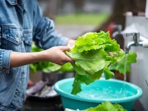 4 cách rửa rau tưởng sạch mà hóa “rửa càng kỹ càng bẩn”: Nhiều người đang làm mỗi ngày