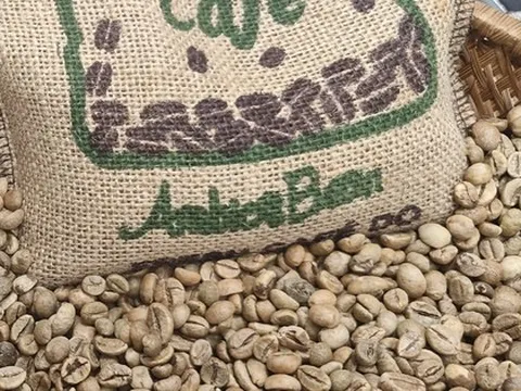 Giá cà phê hôm nay 23-2: Dự báo từ Tổ chức Cà phê quốc tế
