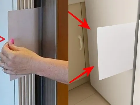 Dùng tủ lạnh lâu nay, giờ tôi mới biết mẹo vạch mặt "thủ phạm ngốn điện tủ lạnh" chỉ bằng tờ gấy A4