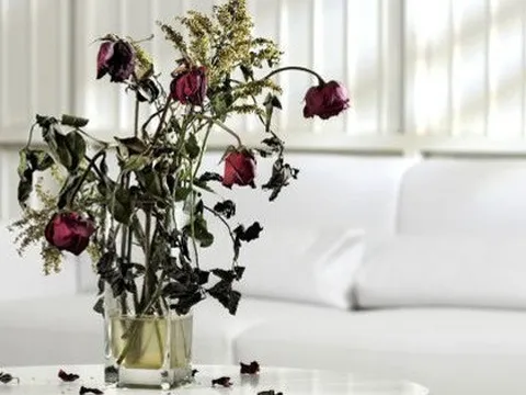 Sau Tết nhiều nhà mắc 5 lỗi phong thủy mà không biết: Bảo sao tiền bạc trôi tuồn tuột