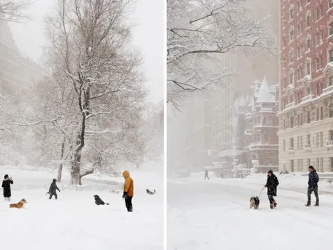 Phía sau khung cảnh New York trắng xóa như cổ tích những ngày này