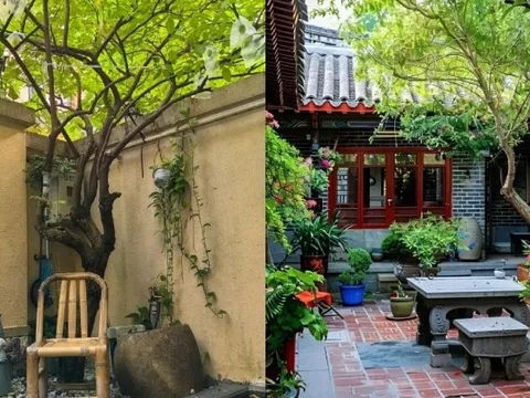 Người xưa đã dặn: Nhà có 4 dấu hiệu này, phúc khí dài lâu, nhiều đời hưởng lợi