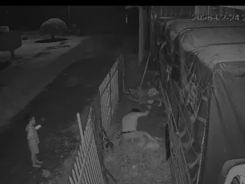 Đồng Tháp: Chồng đâm vợ bất chấp con nhỏ cầu xin "cha đừng xử lý mẹ"