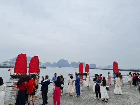 Chính thức: Tạm dừng hoạt động của thuyền buồm đỏ ven bờ vịnh Hạ Long, lý do là gì?